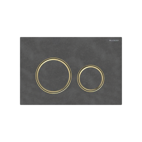 Bedieningsplaat Sigma21 leisteen/goud